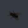NewCanvas1