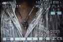 12d6bd53-8763-494b-b9ce-b7506a71621e