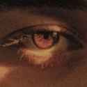 eye