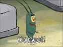 correct-plankton