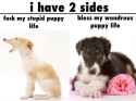 0280d5f75a8fc039e290556a68a7baee