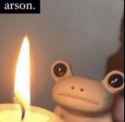 arson