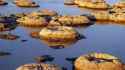 images - 2025-05-15T231302.928