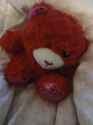 little bear