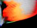 32b25fc252eea8b3885d721526755ac9