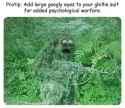 googlysuit