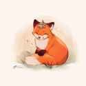 littlefox