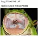 1727027867445