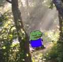 apu-swing