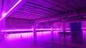 20250603_223028