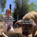 6hzadst7ogzd1
