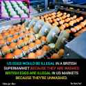 do-you-have-a-loicense-for-that-egg