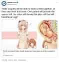 fagpreggers