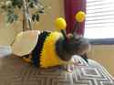 bee_rat_costume