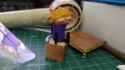 IMG-20250611-WA0005