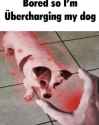 1748734091844018