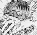 the-cuadritos-michi-mordiendo-arte-gatos-humor-1~2