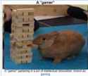333531232_1163090437686904_3693344958313977029_n