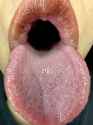 ba86a22c2c5dadd316f04ecd1907351836a002c4
