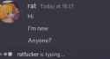 36 KB