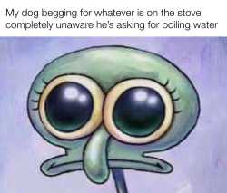 102 KB