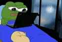 HD-wallpaper-pepe-on-laptop-working-pepe-funny-cool.jpg