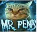 the-original-cat-image-for-the-mr-penis-meme-v0-pl1jq0yjc4qf1.jpg