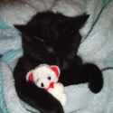 53 KB