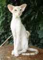 306 KB