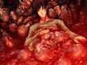 307 KB