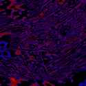 171 KB