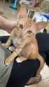 1.87 MB