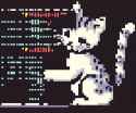 58 KB