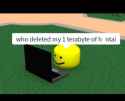 29 KB