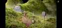 3.97 MB