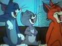 cats tom jerry