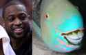 Dwyane Wade Looks Like A Parrotfish