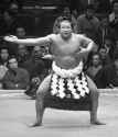 Sadanoyama performs the yokozuna dohyo-iri (c. 1965)