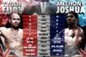 GL-BOXING-TALE-OF-THE-TAPE-FURY-AJ-2