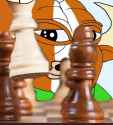 bevo chess