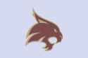 Logo Texas_bobcatsState_University_Bobcats