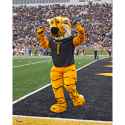 missouri-tigers-unsigned-truman-the-tiger-dancing-photograph_pi3945000_ff_3945399-fc72e50dc061c2fe9a77_full