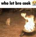 who-let-bro-cook