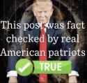 this-post-was-fact-checked-by-real-american-patriots-donald-duck