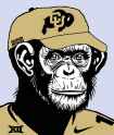 coach primate