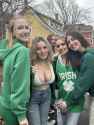 irish_fans