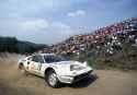 1982 WRC San Remo _ Tognana - De antoni - 1014544610