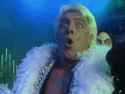 ric-flair