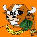 bevo9