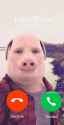 john pork